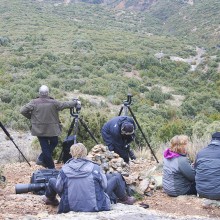 Museo del Buitre y Sierra de Guara